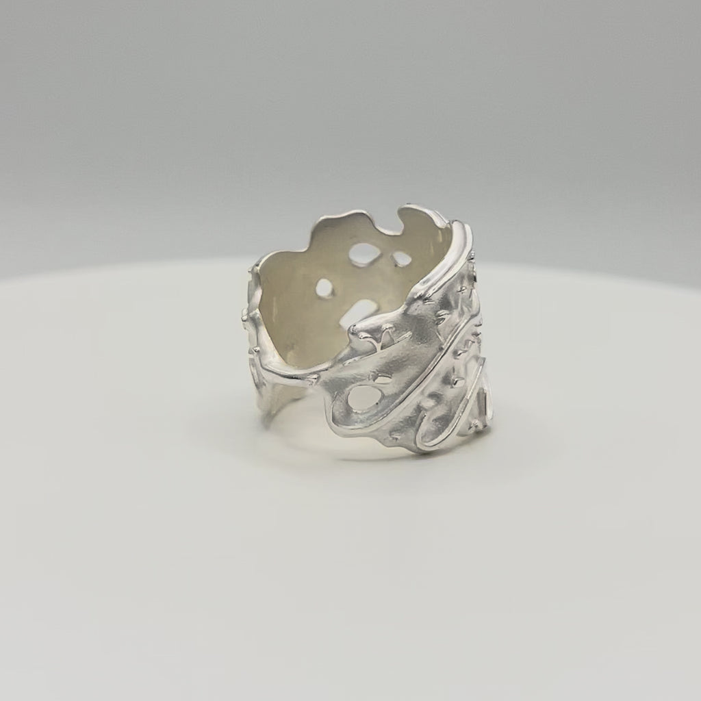 The Destiny Ring (Noor)