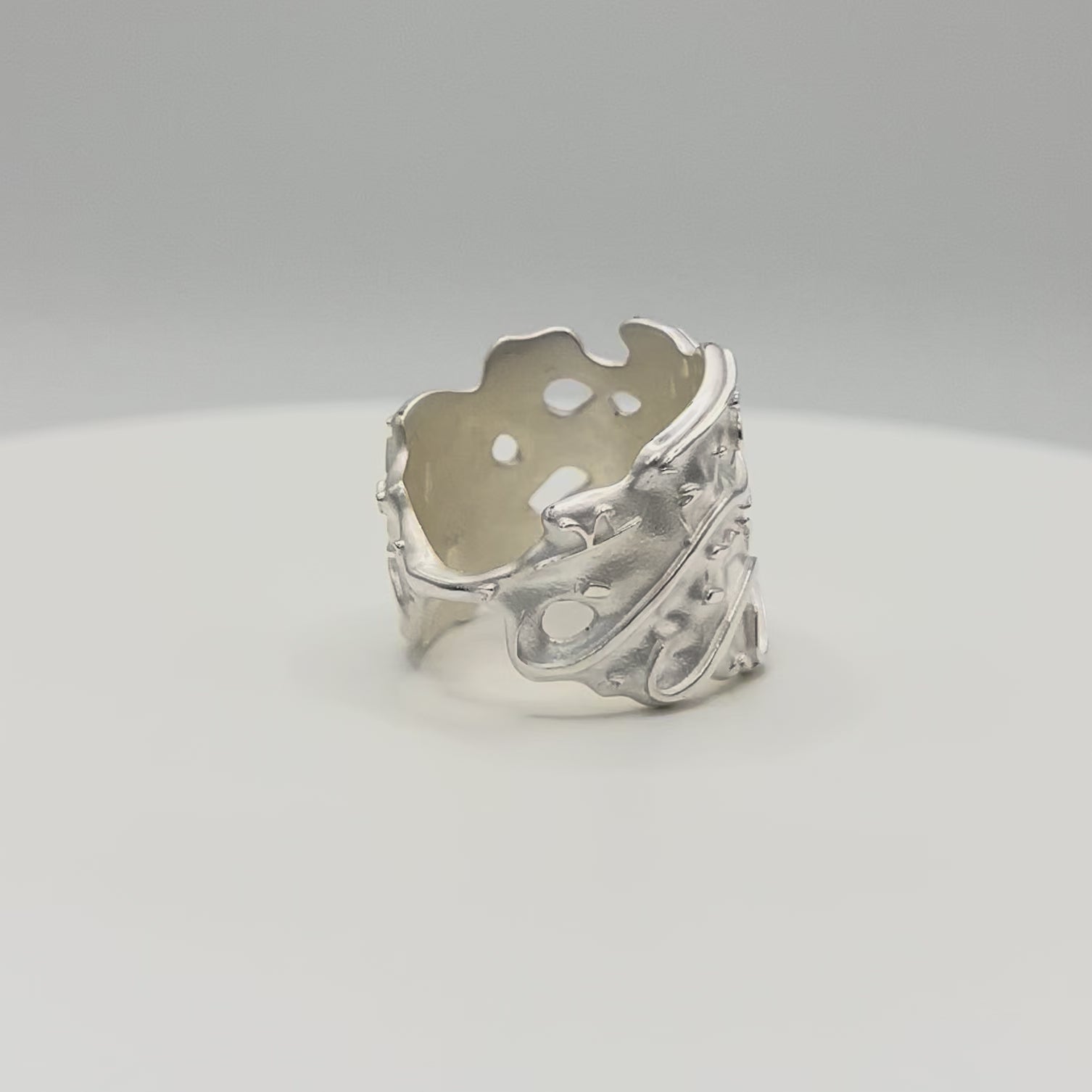 The Destiny Ring (Noor)